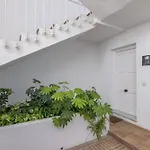 - New Modern Flat Nueva Andalucia In Puerto Banus - Exceptionnel Location 公寓
